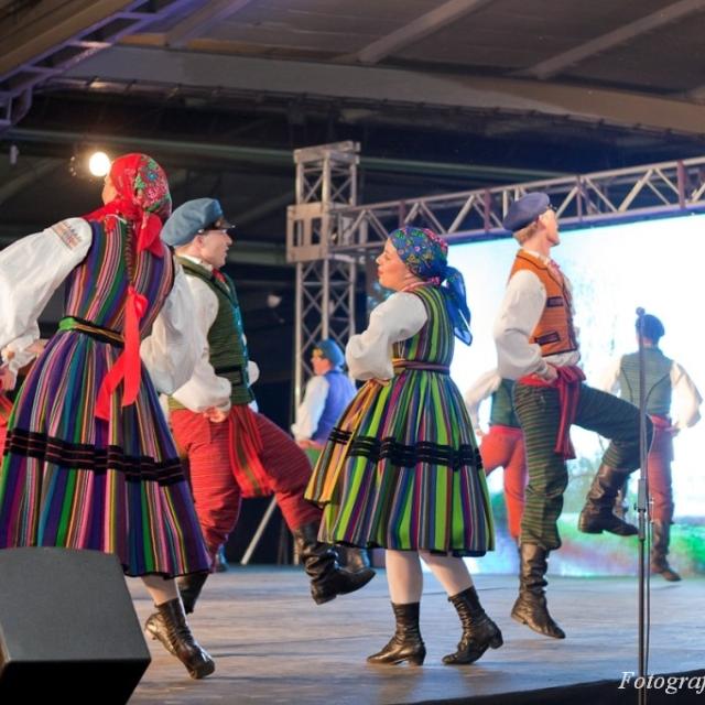 Zdjęcie